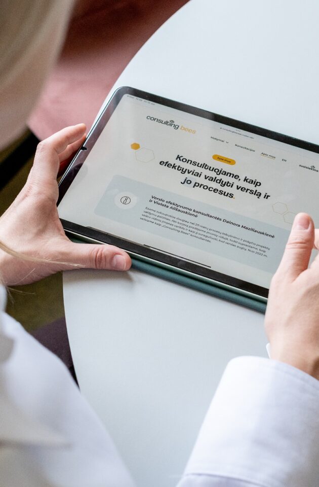 Problemų sprendimo mokymų programa